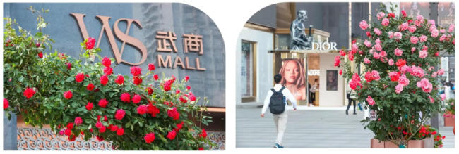 优德88·(中国区)官方网站