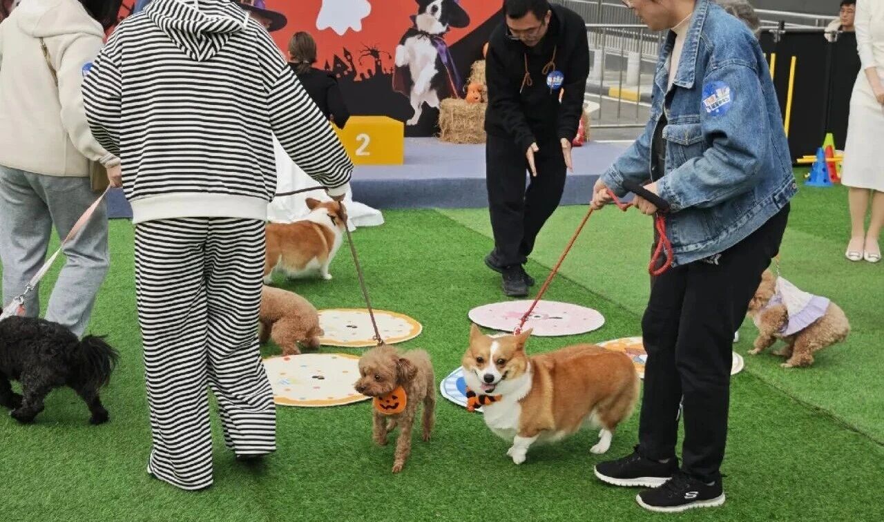 优德88·(中国区)官方网站